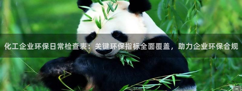 亿万城市手游官网：化工企业环保日常检查表：关键环保指标全面覆盖，助力企业环保合规