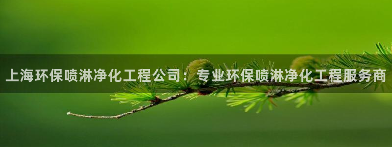 亿万剧情详解：上海环保喷淋净化工程公司：专业环保喷淋净化工程服务商