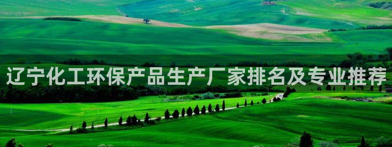 亿万先生官方网站：辽宁化工环保产品生产厂家排名及专业推荐