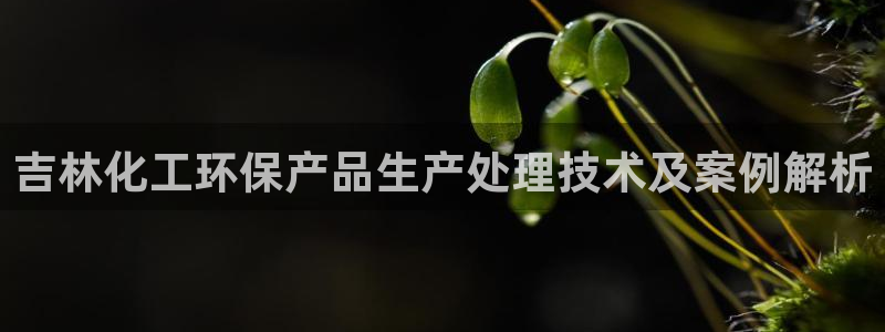 亿万先生网页版下载：吉林化工环保产品生产处理技术及案例解析
