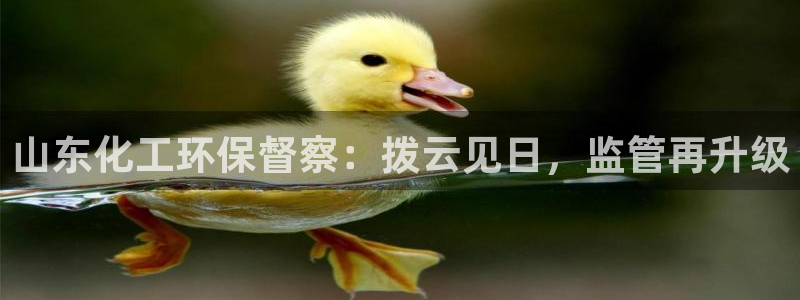 亿万官网字幕组官网下载：山东化工环保督察：拨云见日，监管再升级