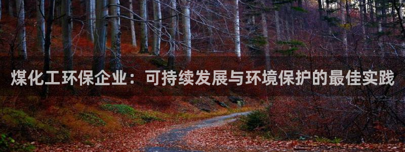 亿万网络：煤化工环保企业：可持续发展与环境保护的最佳实践