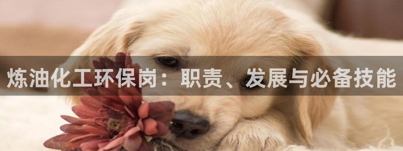 亿万先生手游下载安装：炼油化工环保岗：职责、发展与必备技能