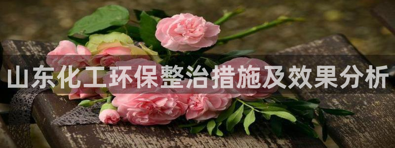 亿万番外：山东化工环保整治措施及效果分析