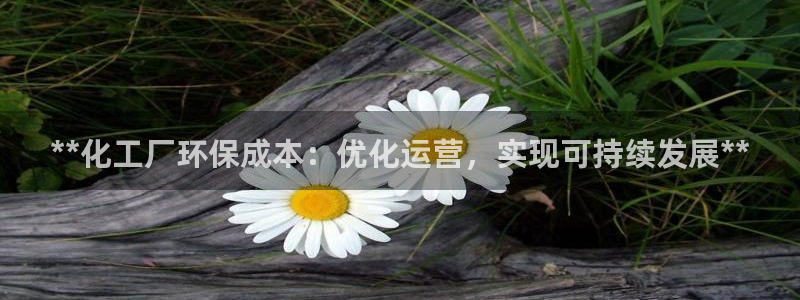 亿万手游平台官网下载：**化工厂环保成本：优化运营，实现可持续发展**