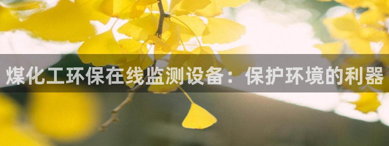 亿万先生客户端下载安装：煤化工环保在线监测设备：保护环境的利器