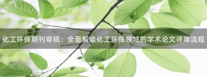 亿万客户端：化工环保期刊审稿：全面解读化工环保领域的学术论文评审流程