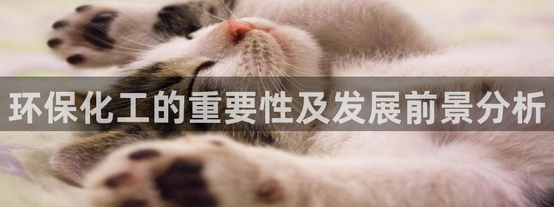 亿万先生官方网站下载手机版：环保化工的重要性及发展前景分析