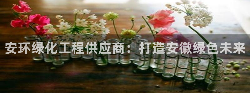 亿万先生合并最新消息：安环绿化工程供应商：打造安徽绿色未来