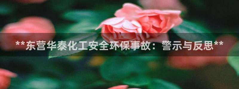 亿万先生客户端官网登录不了：**东营华泰化工安全环保事故：警示与反思**
