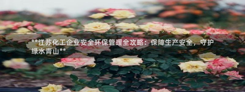 亿万百度贴吧：**江苏化工企业安全环保管理全攻略：保障生产安全，守护
绿水青山**