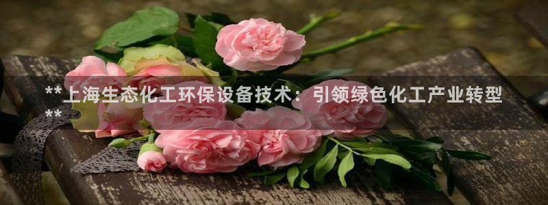 亿万先生 手机版下载最新版：**上海生态化工环保设备技术：引领绿色化工产业转型
**
