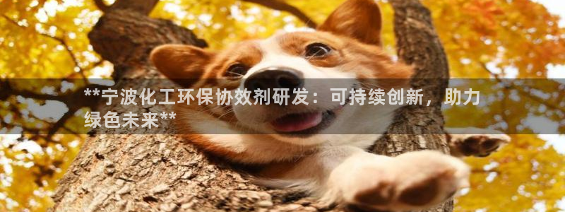亿万讲了什么：**宁波化工环保协效剂研发：可持续创新，助力
绿色未来**