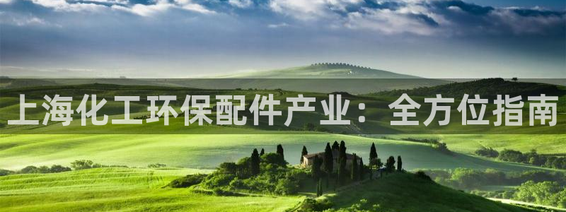 亿万先生MR - 亿万先生mr008cc：上海化工环保配件产业：全方位指南