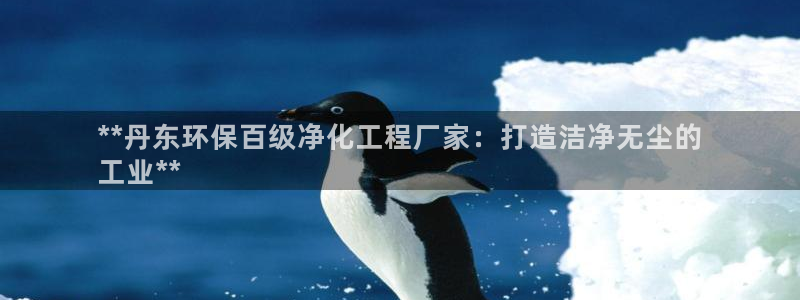 亿万先生客户端官网登录不上：**丹东环保百级净化工程厂家：打造洁净无尘的
工业**