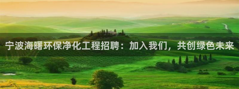 亿万先生合并：宁波海曙环保净化工程招聘：加入我们，共创绿色未来