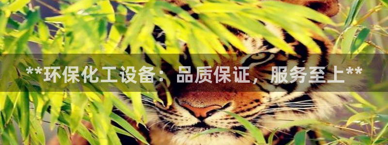 亿万手游官网首页：**环保化工设备：品质保证，服务至上**