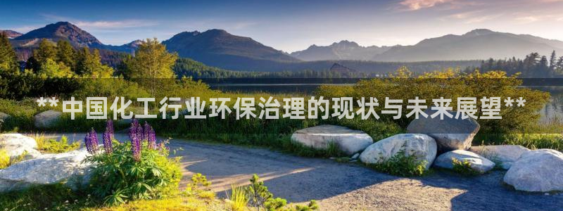 亿万先生换网址了吗：**中国化工行业环保治理的现状与未来展望**