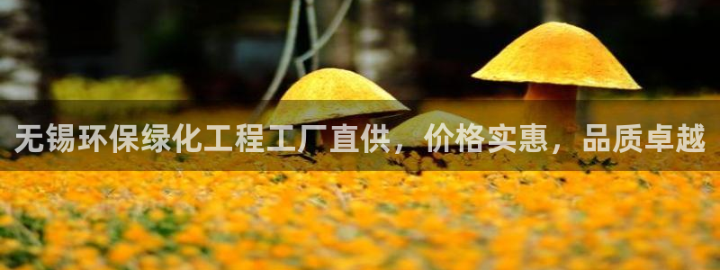 电影亿万：无锡环保绿化工程工厂直供，价格实惠，品质卓越