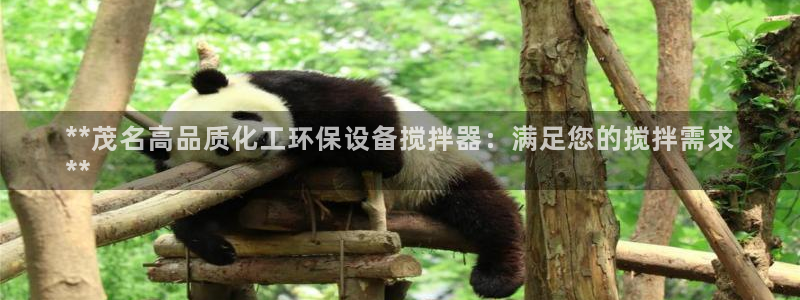 亿万堂官网：**茂名高品质化工环保设备搅拌器：满足您的搅拌需求
**