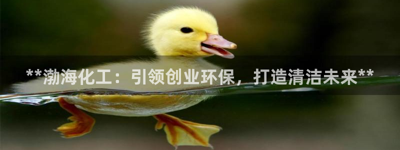亿万app：**渤海化工：引领创业环保，打造清洁未来**