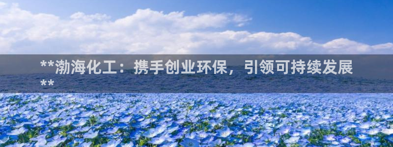 亿万剧集：**渤海化工：携手创业环保，引领可持续发展
**