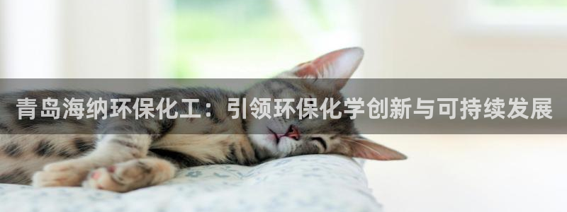 亿万网友在线实时为你解答：青岛海纳环保化工：引领环保化学创新与可持续发展