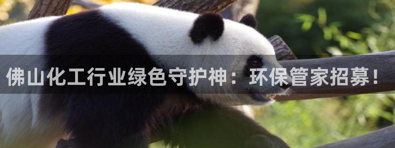 亿万第一集：佛山化工行业绿色守护神：环保管家招募！