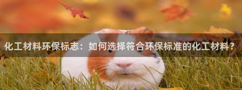 亿万先生MR - 亿万先生mr008cc：化工材料环保标志：如何选择符合环保标准的化工材料？