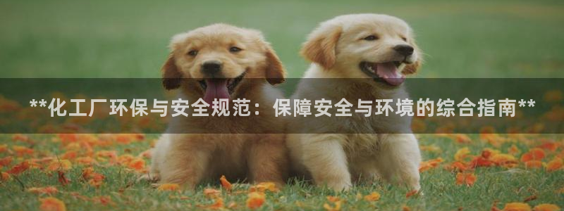 亿万先生合并网址：**化工厂环保与安全规范：保障安全与环境的综合指南**