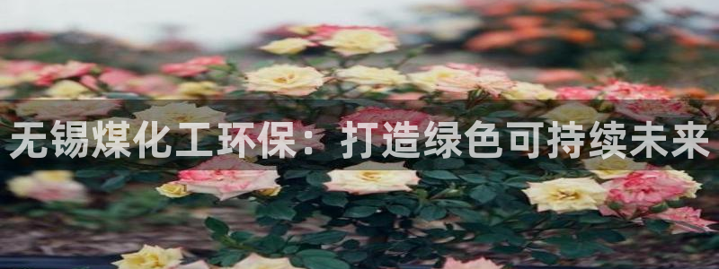 亿万集团有限公司：无锡煤化工环保：打造绿色可持续未来
