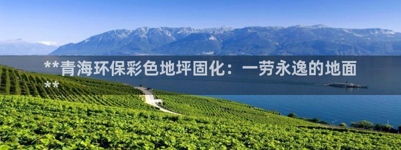 亿万贴吧：**青海环保彩色地坪固化：一劳永逸的地面
**