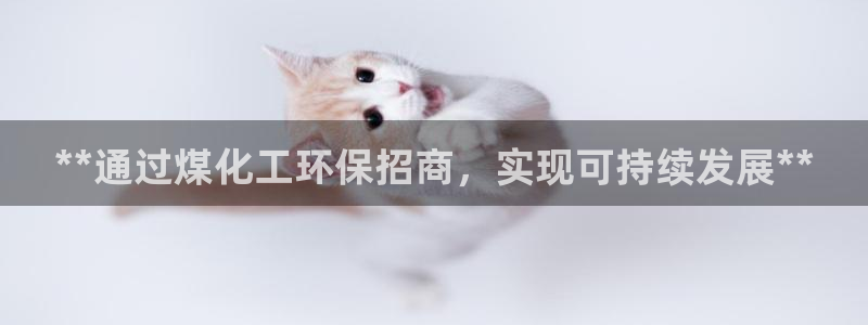 亿万先生合并：**通过煤化工环保招商，实现可持续发展**