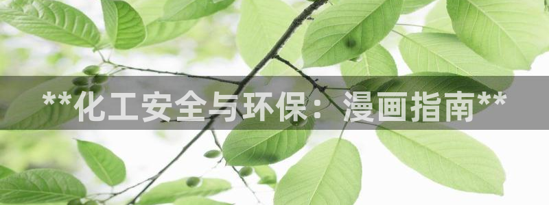亿万手游官网网址：**化工安全与环保：漫画指南**