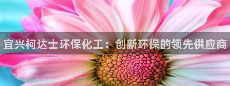 亿万先生mr网址：宜兴柯达士环保化工：创新环保的领先供应商