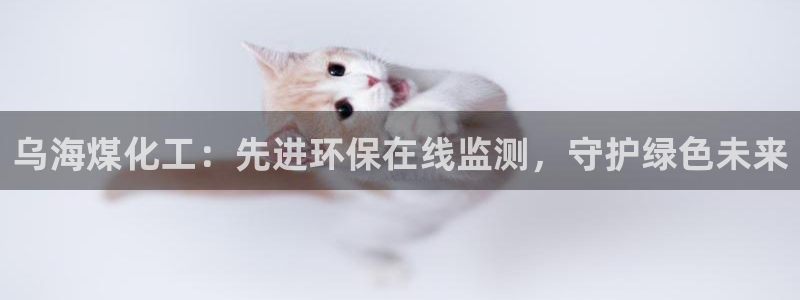 亿万先生网站：乌海煤化工：先进环保在线监测，守护绿色未来
