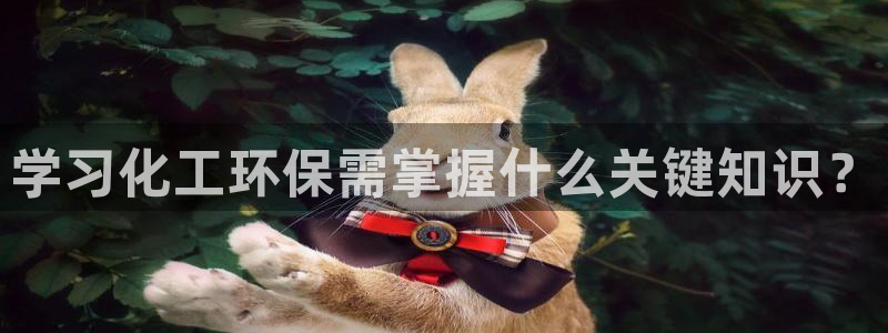亿万先生网页版登录：学习化工环保需掌握什么关键知识？