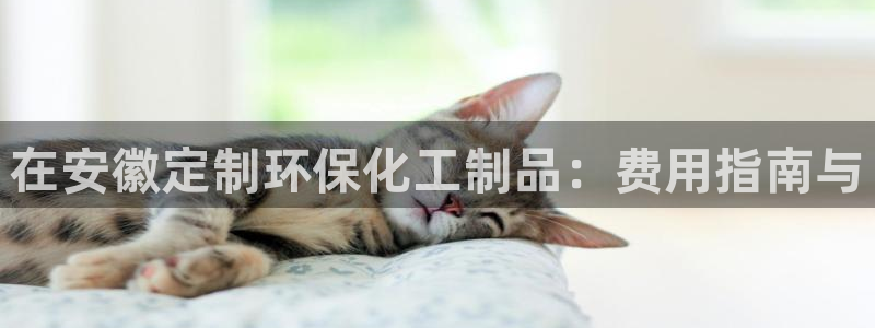 亿万首富游戏：在安徽定制环保化工制品：费用指南与