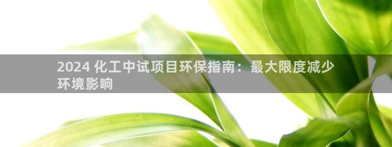 亿万网红：2024 化工中试项目环保指南：最大限度减少
环境影响