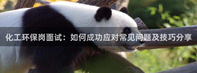 亿万先生合并网址是什么：化工环保岗面试：如何成功应对常见问题及技巧分享