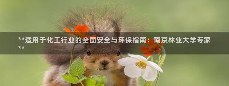 亿万先生官方登录网址：**适用于化工行业的全面安全与环保指南：南京林业大学专家
**