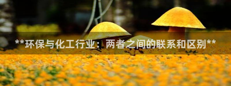 亿万先生用什么客户端：**环保与化工行业：两者之间的联系和区别**