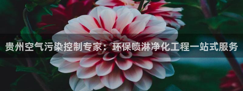 亿万先生客服联系：贵州空气污染控制专家：环保喷淋净化工程一站式服务