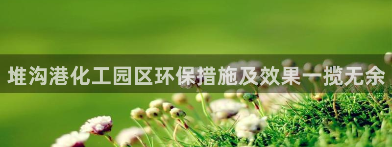 亿万先生客户端官网登录：堆沟港化工园区环保措施及效果一揽无余