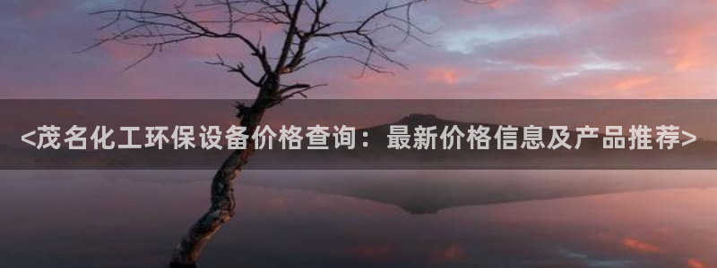 亿万网络科技有限公司ceo：<茂名化工环保设备价格查询：最新价格信息及产品推荐>