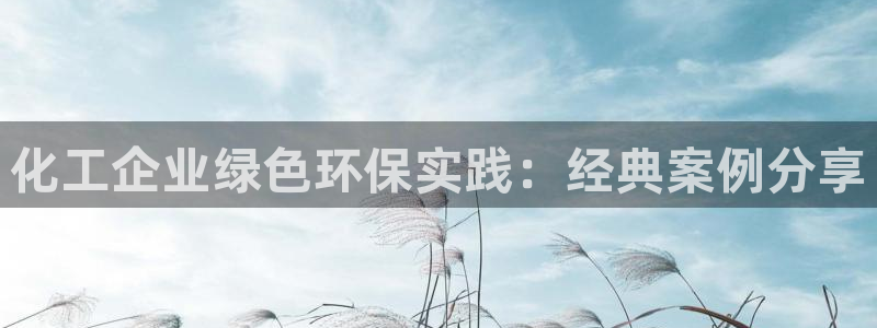 亿万先生合并：化工企业绿色环保实践：经典案例分享