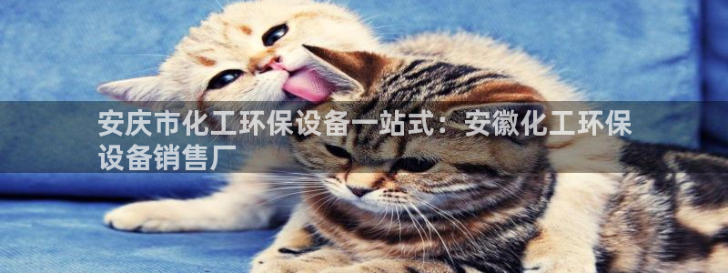 亿万先生 菲律宾：安庆市化工环保设备一站式：安徽化工环保
设备销售厂
