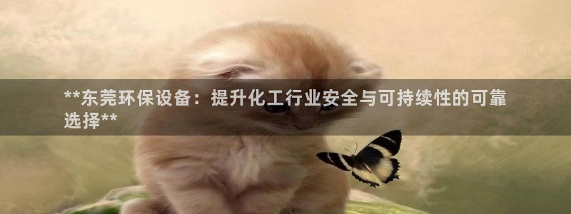 亿万剪辑：**东莞环保设备：提升化工行业安全与可持续性的可靠
选择**