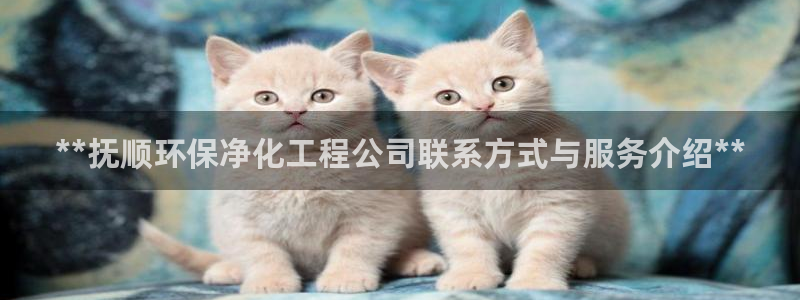 亿万先生下载客户端：**抚顺环保净化工程公司联系方式与服务介绍**