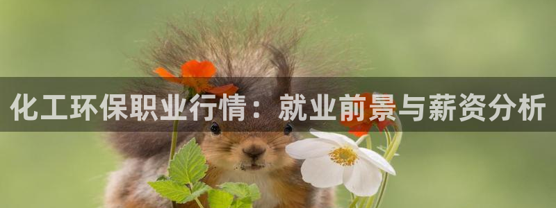 亿万先生官方登录网址：化工环保职业行情：就业前景与薪资分析